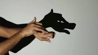 Famous Hand Shadow Puppet Tutorial | Handicraft Net Worth