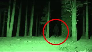 Drone Entered Restricted Forest And Captures What No One Was Suppose To See!
