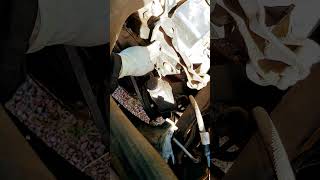 timing tab install 79K20 350