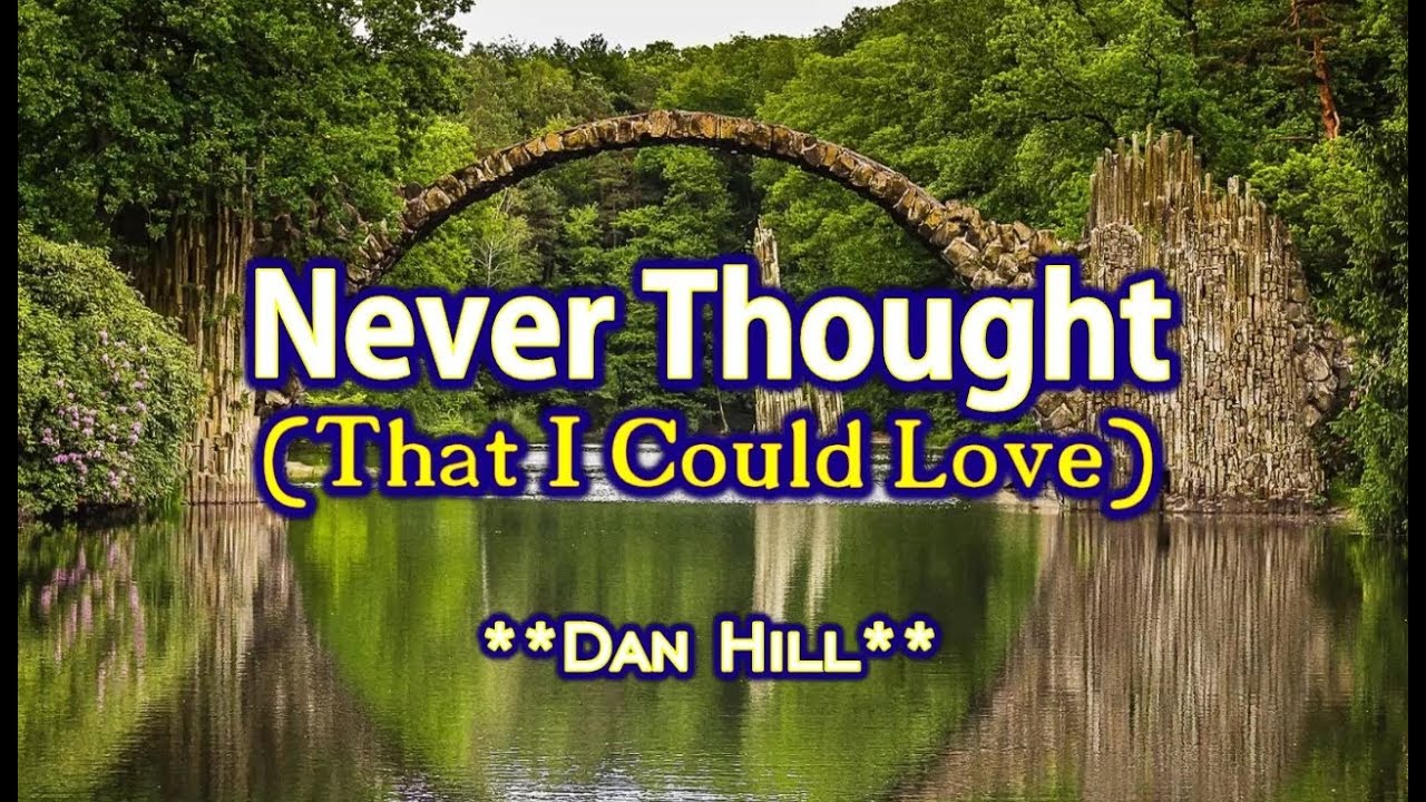 Never Thought That I Could Love   Dan Hill KARAOKE VERSION