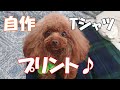 【犬ふく】オリジナルプリントを自作でやって見たら芸術的な仕上がり♪  トイプードルのモモ