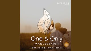 One & Only (Schwarz & Funk Remix)