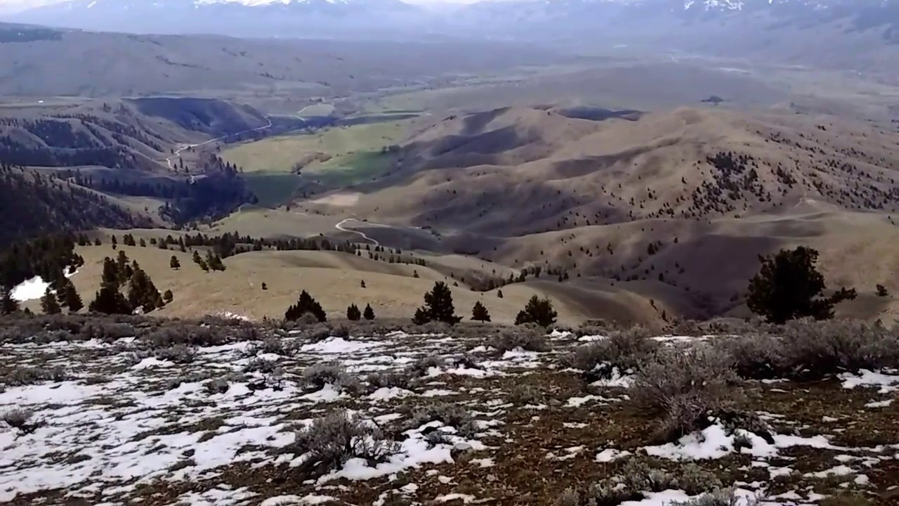 Idaho Shed Hunting Part 2 YouTube