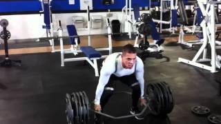 IMG 0379