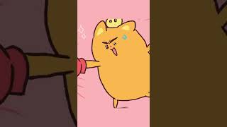 Meet the BOSS cat, Ninimo l The cute orange cat is coming l Teaser 2