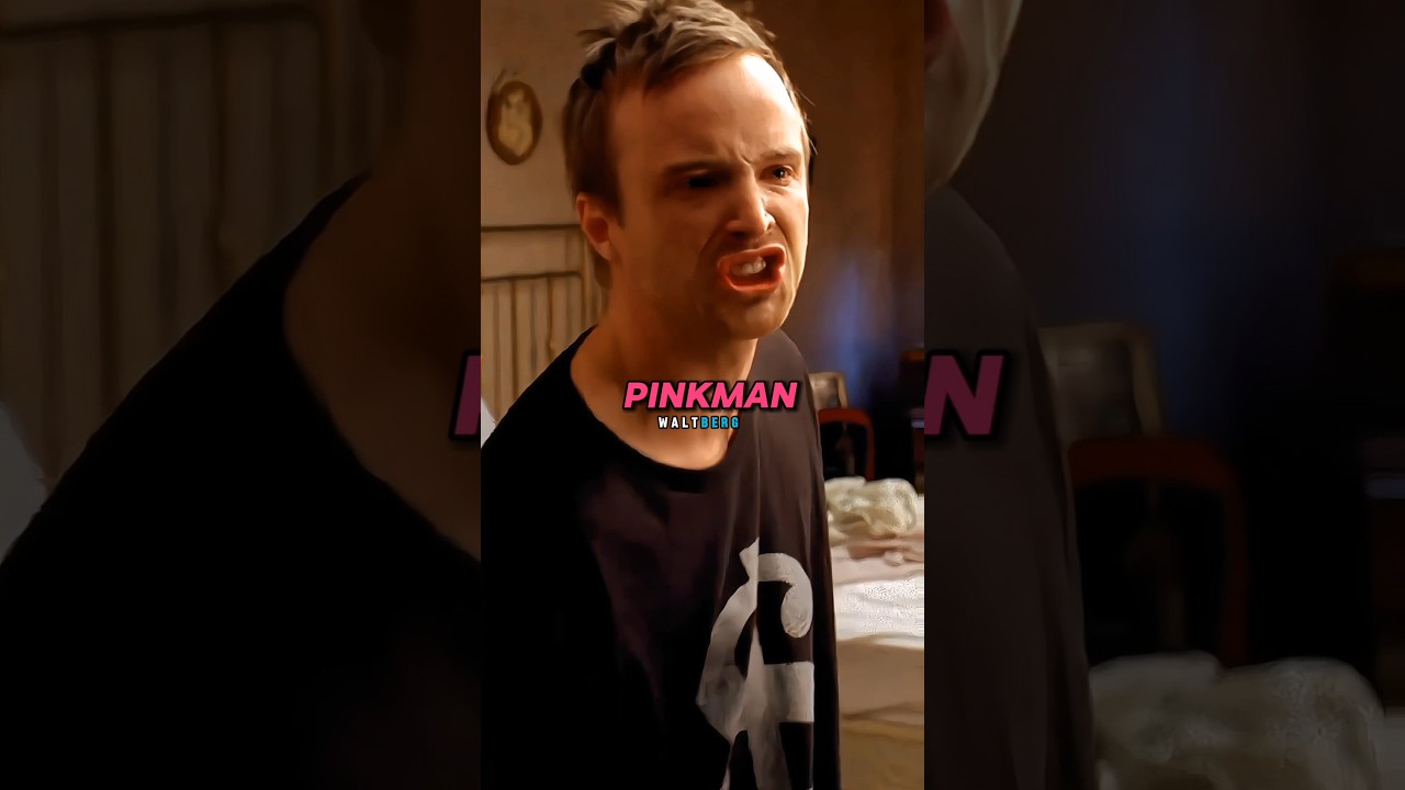 Fans Yelling B-tch To Aaron Paul