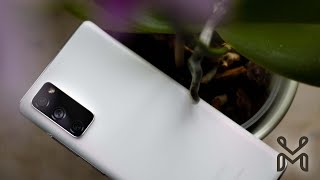 Samsung Galaxy S20 FE - Kann die Fan Edition im Jahr 2022 noch mithalten?