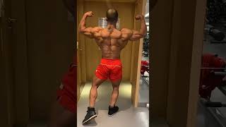 Amazing Back muscles, ifbbpro Ali shamsghamar