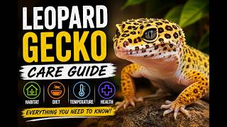 Complete leopard gecko care guide 2026