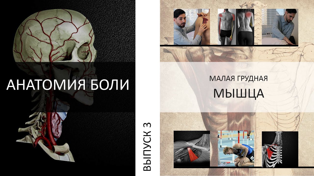 Малой ноет