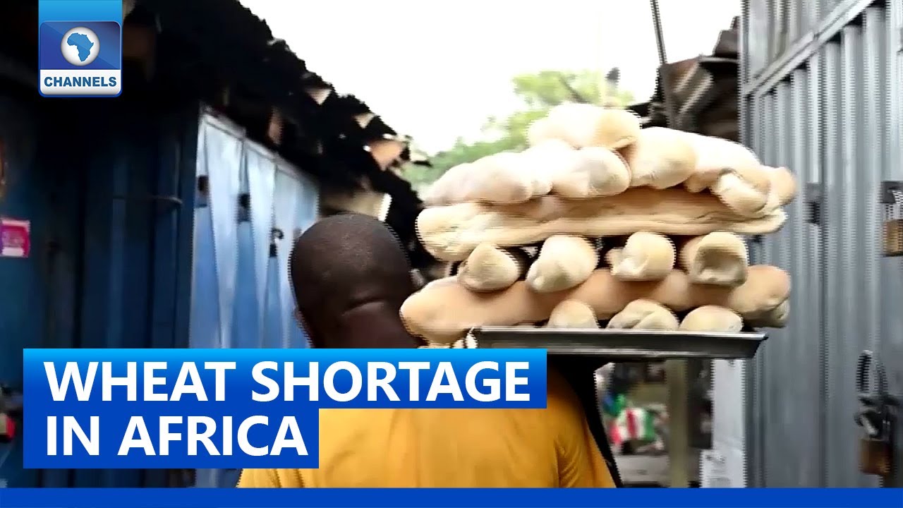 Wheat Shortage Looms In Africa, Somalia Drought + More | Network Africa