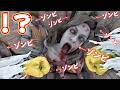 【超大群】あえて危険な場所に潜入し究極Lvアップを目指せ!【7Days to Die】