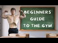 Beginner&#39;s Workout Guide // What You Need To Know // Training, Nutrition, Supplements, Recovery