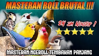 MASTERAN TERBARU TEMBAKAN MURAI BATU ISIAN AUDIO JERNIH‼️