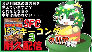 【リベンジ企画】ドンキー３クリア耐久！【パンダVtuber/翠浜リプル】
