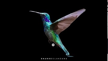 Hummingbird | Lowpoly | Corel Draw | Time Lapse | Tutorial