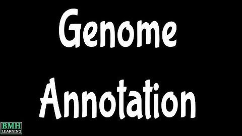 Genome Annotation
