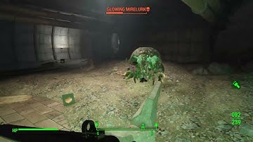 How to deal with Mirelurks - Fallout 4