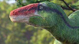 Dinosaur Found In 1924 Went Unstudied Until Recently