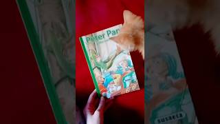Hoy leemos Peter pan 💚#cuentacuentos #cuentosinfantiles #catfunny #gatitos #cuentos #peterpan
