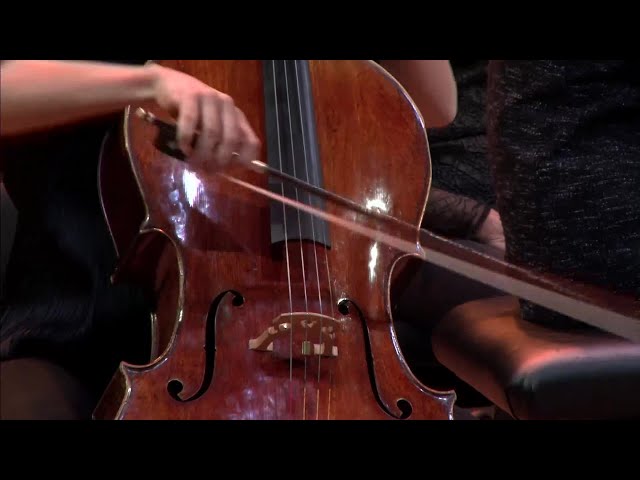 Schumann - 5 Pièces dans le style populaire pour vclle & piano: n°1 : S.Gabetta / B.Chamayou