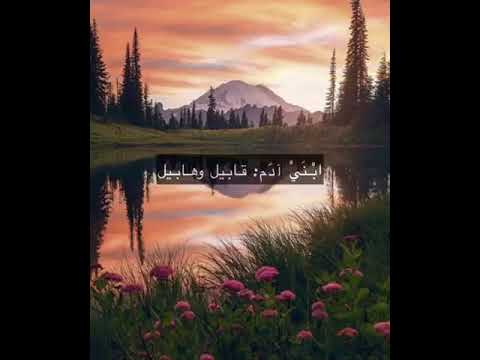 القارئ عبد البديع غيلان وما تيسر من سورة المائدة