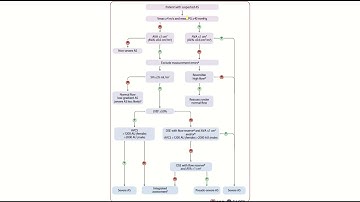 Aortic valve MasterClass: 10 Real ESC 2025 Cases Explained in 20 Minutes