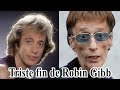 La vie et la triste fin de robin gibb