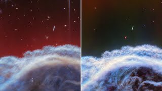 Transition video: Webb's two new views of the Horsehead Nebula