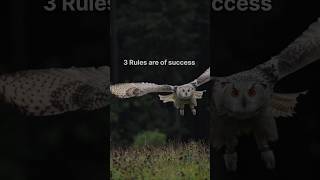 "3 rule of success" make money