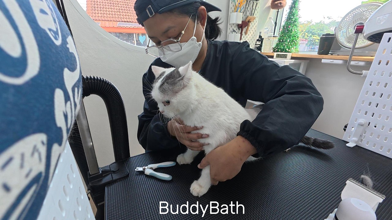 BuddyBath EP5