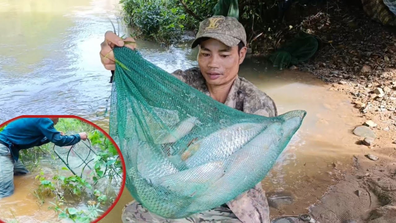 Mạnh Gà TV/ Đã Chở Lại Sông Đồng Nai Sau Nhiều Tháng , Cắm Câu Săn Cá Trong Rừng 