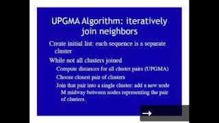 UPGMAFitsUltrametricDistance-IterativeNeighborJoining (Lec) - Intro to Bioinformatics (UCLA)
