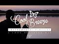  1 hour 30 of neo soul instrumental music relaxing  calming  chill long mix