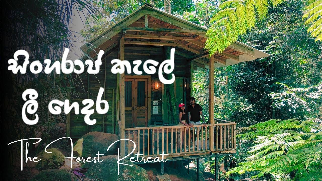The Forest Retreat - Deniyaya | සිංහරාජ කැලේ ලී ගෙදර