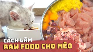 5 cách đơn giản tự làm pate cho mèo tại nhà