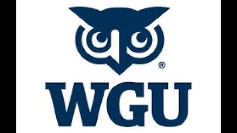 WGU D493 Performance Assessment