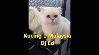 DJ Ed ~ Lagu Kucing 1 Malaysia