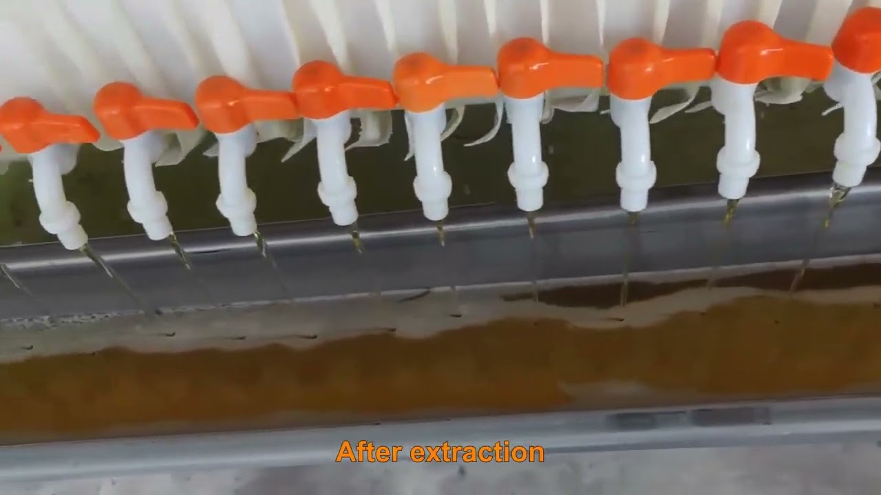 Cottonseed oil pressing equipment process flow and principle