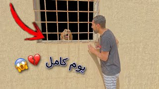 كلبي ( تويكس ) قرر يرجع ذكريات جاك  وقفل باب الغرفه على نفسه