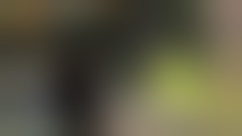 Wurm - How to install the Live Map mod