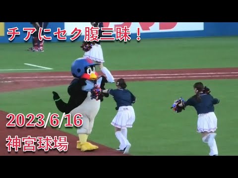 つば九郎、チアにセク腹三昧！ 2023/6/16