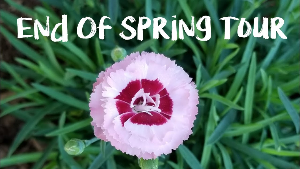 🌸The End Of Spring Tour🌸