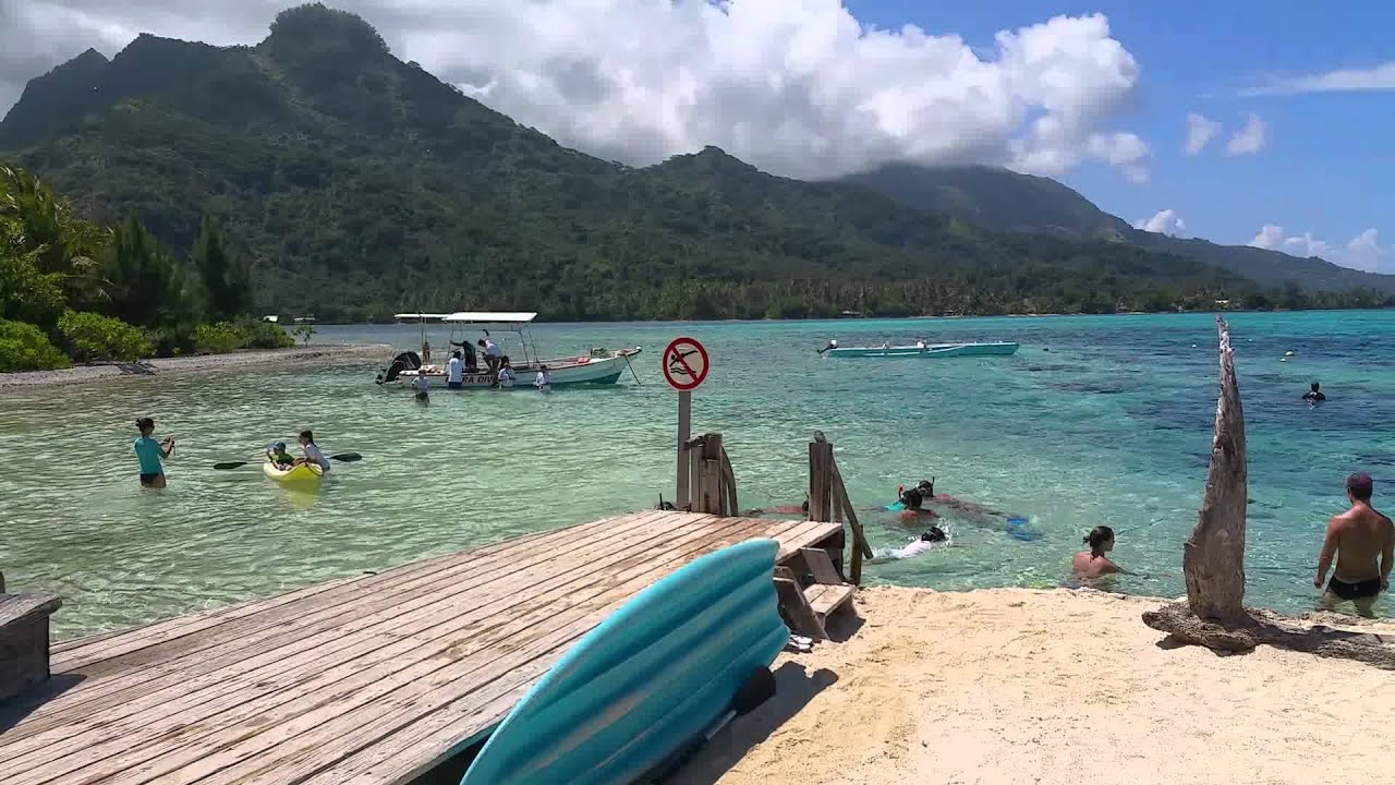 excursion lagoonarium moorea