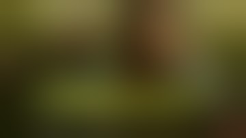 Cyberpunk 2077 - Official 48 Minute Gameplay Reveal