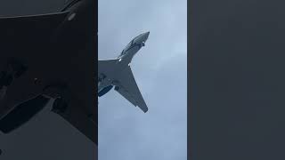 Custom G650 Er Flies Over Electrical Cables Landing Gear Down