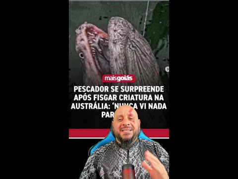 Pescador se surpreende após fisgar criatura na Austrália: ‘Nunca vi nada parecido’