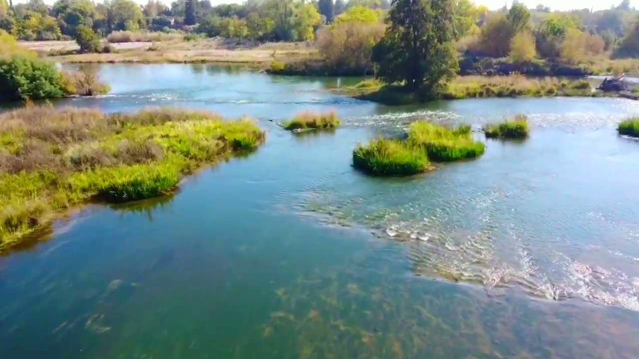 William B Pond AMERICAN RIVER