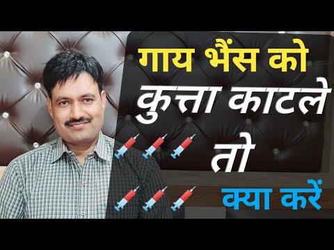 वीडियो: क्या आपका पशु बचाव सोशल मीडिया सेव है?