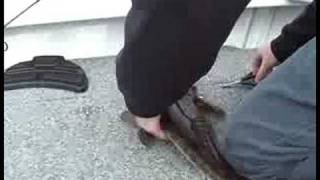 Gaz And Baz Secret Location Pt7